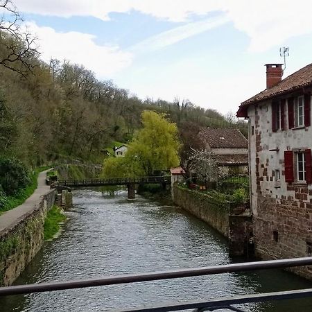 Saint Jean Pied De Port. Centre Ville. Rue Pietonne Exterior photo