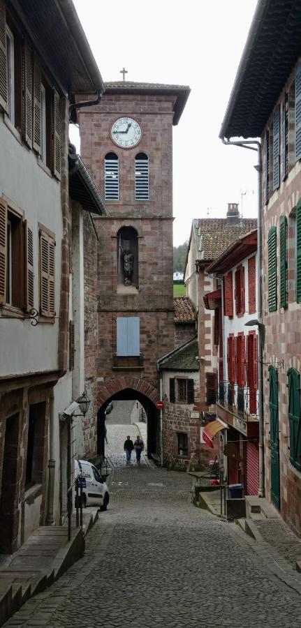 Saint Jean Pied De Port. Centre Ville. Rue Pietonne Exterior photo