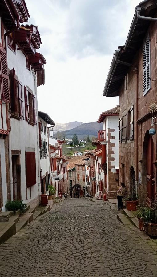 Saint Jean Pied De Port. Centre Ville. Rue Pietonne Exterior photo